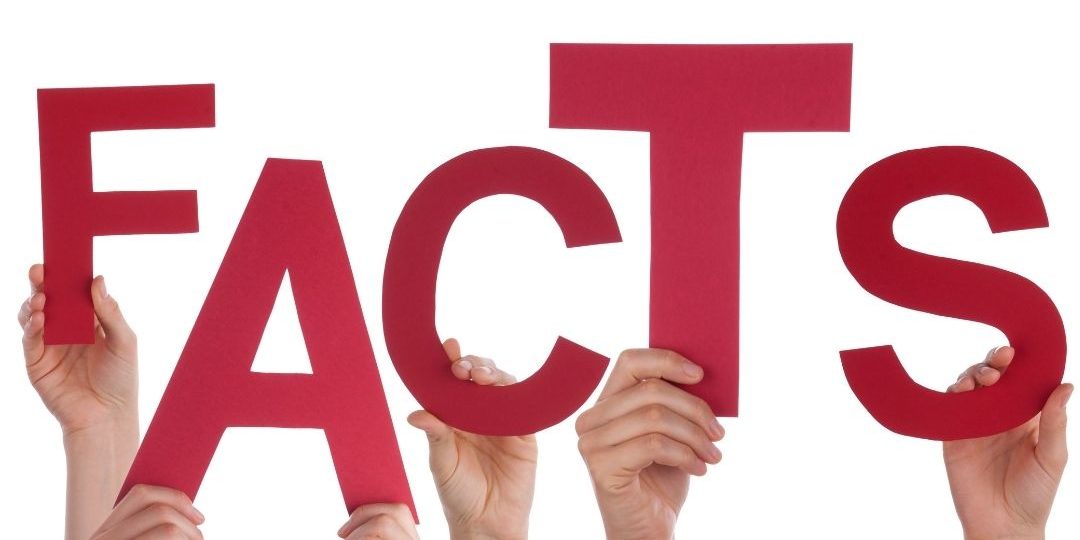 Untitled design (26)