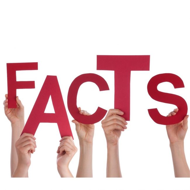 Untitled design (26)